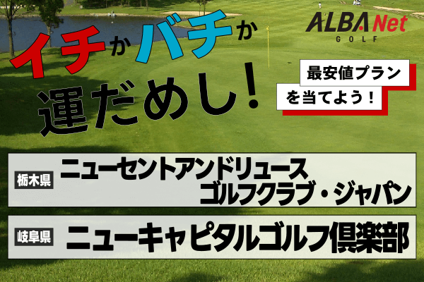 イチかバチか運試し「最安値プラン」を当てよう！